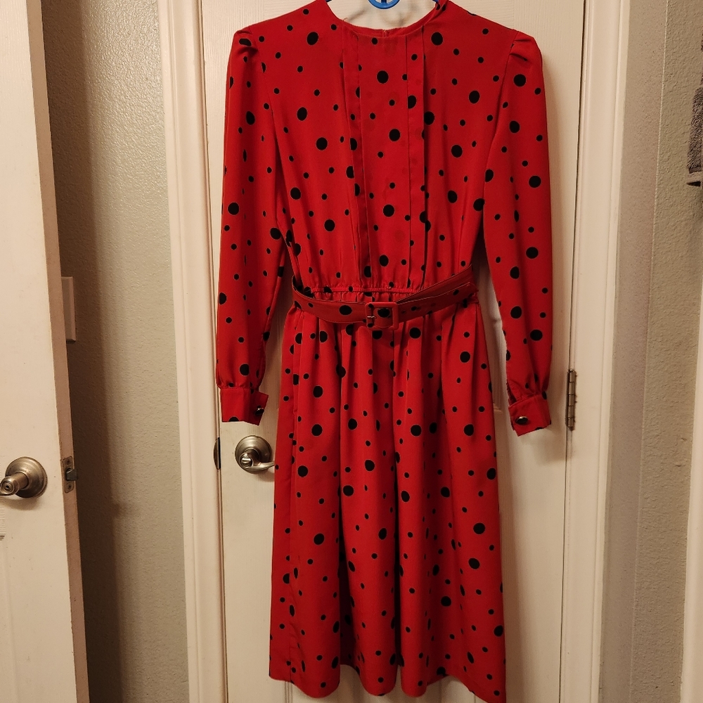 Vintage serbin dress